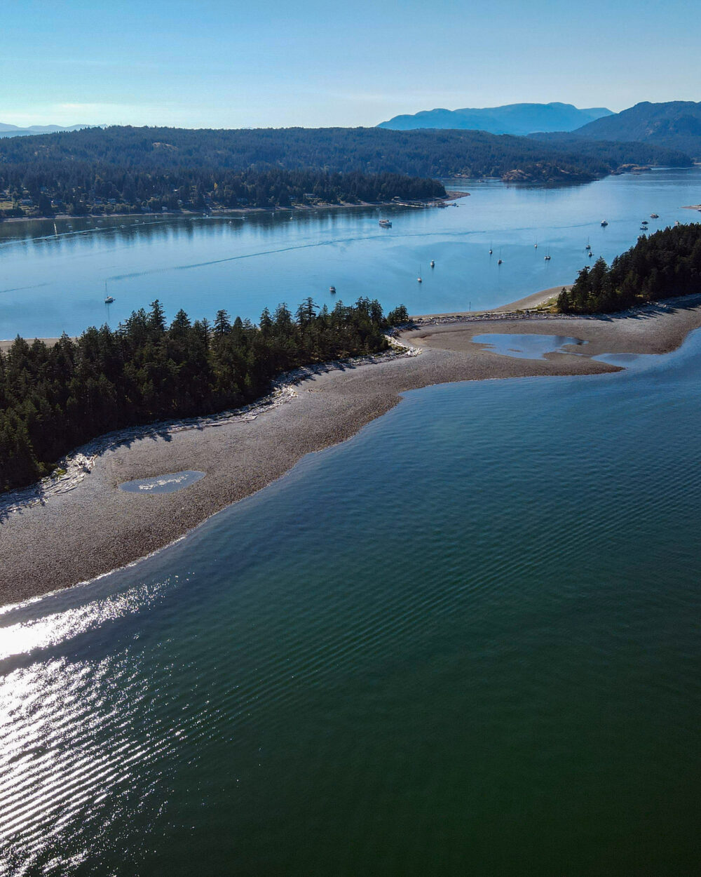 Quadra-Island-Campbell-River-Vancouver-Island-BC-52-v